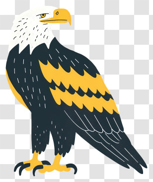 Eagle - Bald Eagle Cartoon Illustration Transparent PNG