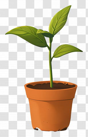Green Sprout Plant - Small Potted Sprout In A Terra Cotta Pot Transparent PNG