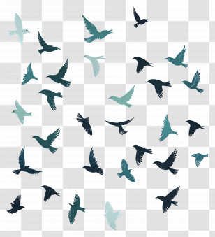 Bird Flock - Silhouettes Of Birds In Flight Transparent PNG
