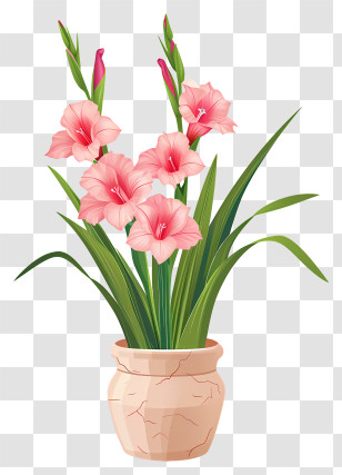 Gladiolus - Pink Gladiolus Flowers In A Pot Transparent PNG
