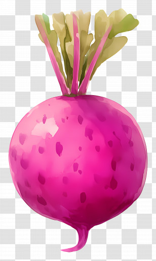 Watercolor Radish - Purple Radish Illustration Transparent PNG