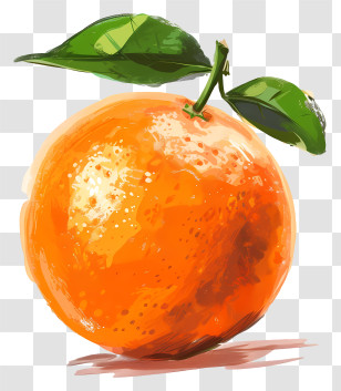 Orange Fruit - Illustration Of Orange With Leaves Transparent PNG