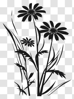 Flower Silhouette - Black Wildflower Silhouette Illustration Transparent PNG