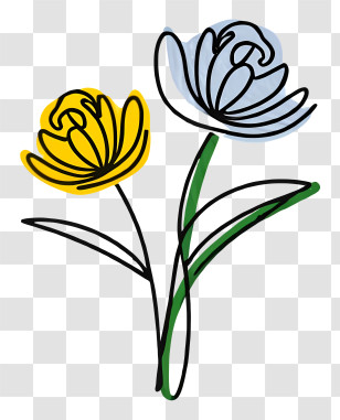 Hand Drawn - Colorful Flower Line Art Transparent PNG