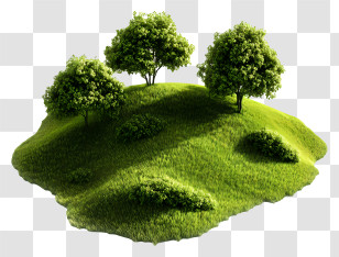 Lush Green Meadow - Green Hill With Trees Transparent PNG