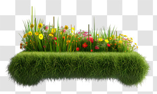 Grass Bench - Lush Flower Bed With Colorful Blooms Transparent PNG