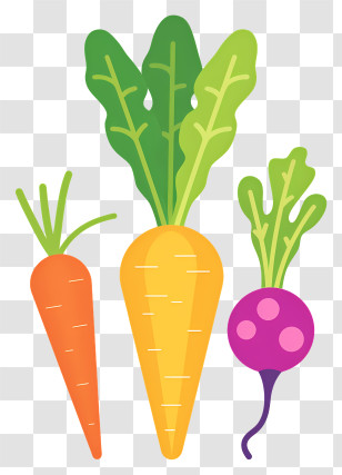 Vegetable - Cute Vegetables Illustration With Carrot, Beetroot, And Turnip Transparent PNG