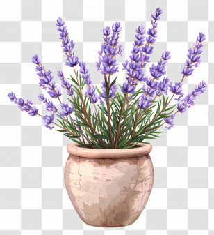 Lavender Flowers - Potted Lavender Plant With Rustic Clay Pot Transparent PNG