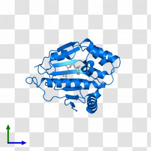 Logo Font - Organism - Design Transparent PNG