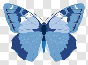 Butterfly - Stylized Blue Butterfly Illustration Transparent PNG