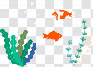 Goldfish - Goldfish And Seaweed Illustration Transparent PNG