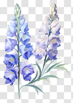 Minimalized Flat Vector Illustrate - Purple And White Delphinium Flowers Transparent PNG