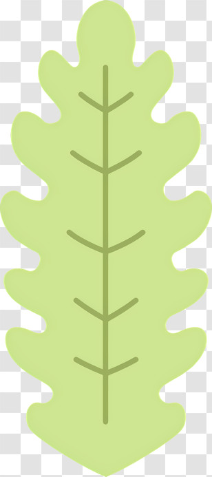 Green Leaf - Green Leaf Illustration Transparent PNG
