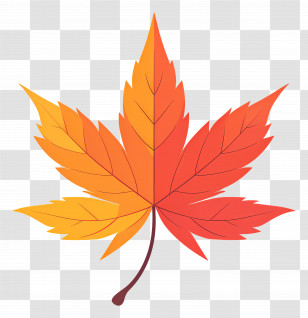 Autumn Maple Leaf - Red And Orange Autumn Maple Leaf Transparent PNG