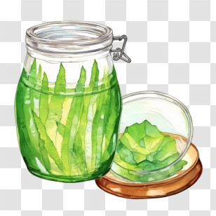 Aloe Vera - Aloe Vera Leaves In Glass Jar Transparent PNG