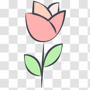 Rose Flower - Pink Tulip With Green Leaves Transparent PNG