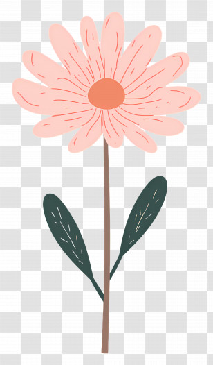 Pink Chrysanthemum Flower - Pink Flower Illustration With Green Leaves Transparent PNG