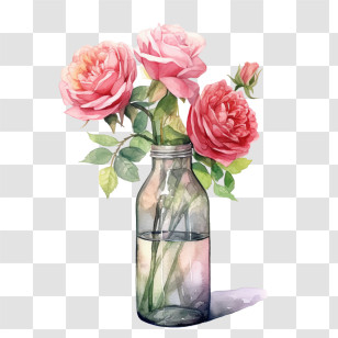 Pink Rose
 - Pink Roses In A Glass Bottle Illustration Transparent PNG