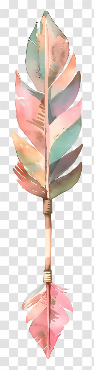 Pastel Arrow - Colorful Decorative Feather Transparent PNG