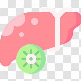 Liver - Liver With Lime Cartoon For Health Concept Transparent PNG