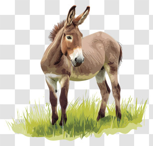 Donkey - Donkey Standing In A Green Pasture Transparent PNG