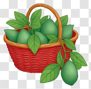 Avocado In Woven Basket - Green Fruits In Red Basket Transparent PNG