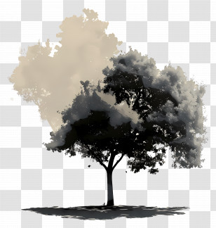 Park Tree - Black Tree Silhouette With Shadow Transparent PNG
