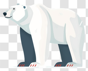Polar Bear - Illustration Of A Polar Bear Transparent PNG