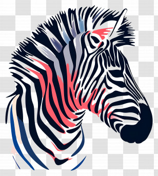 Zebra Head - Stylized Zebra Portrait Illustration Transparent PNG