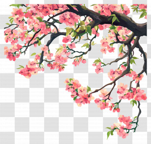 Flowering Cherry Tree - Cherry Blossom Branch In Spring Transparent PNG