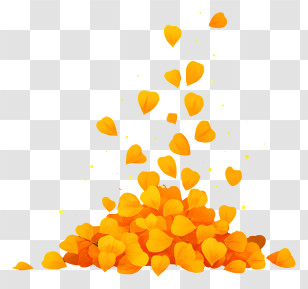 Marigold Petals - Falling Orange Flower Petals Transparent PNG