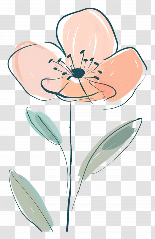 Cartoon Flower - Minimalist Flower Illustration In Pastel Tones Transparent PNG
