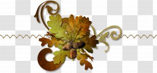 Leaf Auglis - Drawing - Rope Foliage Transparent PNG