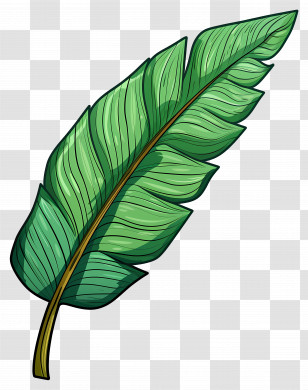 Single Leaf - Green Tropical Banana Leaf Illustration Transparent PNG