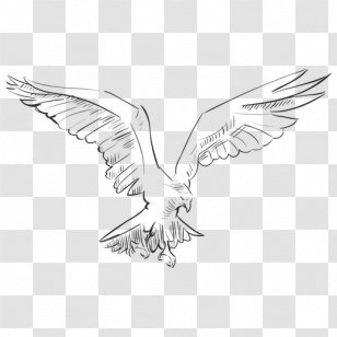 Eagle - Wing - Hand Painted Animals Transparent PNG