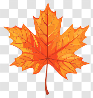 Maple Leaf - Bright Orange Maple Leaf For Fall Season Transparent PNG
