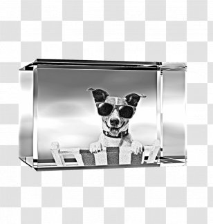 Dog Rectangle Snout - Beach Transparent PNG