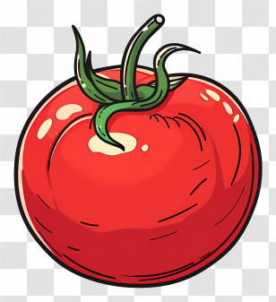 Tomato - Cartoon Red Tomato Illustration Transparent PNG