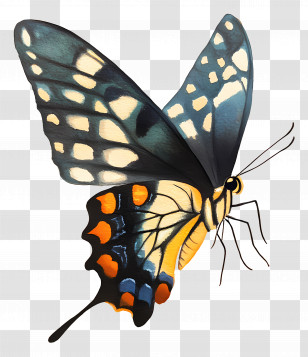 Butterfly Flying - Patterned Butterfly With Unique Wings Transparent PNG