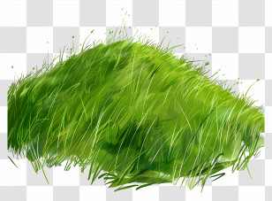 Grass Hill - Grassy Green Hill In Nature Illustration Transparent PNG