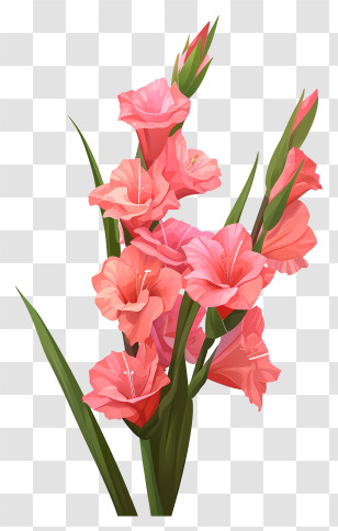 Gladiolus - Beautiful Pink Gladiolus Flowers Transparent PNG