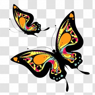 Butterfly Clip Art - Brush Footed Transparent PNG