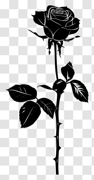 Flower Silhouette - Stunning Black Rose Silhouette Transparent PNG