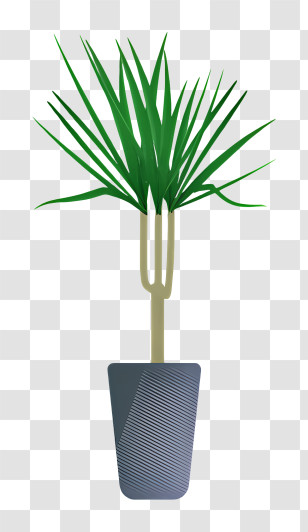 Potted Plant - Indoor Potted Plant Illustration Transparent PNG