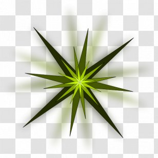 Green Star Clip Art - Grass - Light Burst Transparent PNG