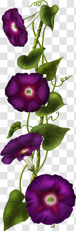 Christian Clip Art Image Flower - Purple Transparent PNG