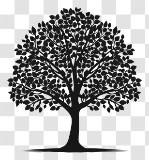 Tree Silhouette - Black Tree Silhouette Design With Leaves Transparent PNG