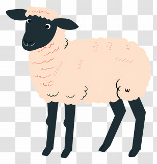 Sheep - Curious Cartoon Sheep With Curly Wool Transparent PNG