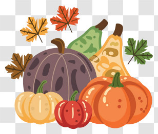 Pumpkins And Gourds - Colorful Pumpkins And Gourds With Autumn Leaves Transparent PNG