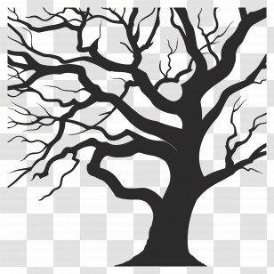 Tree Silhouette - Tree Silhouette With Bare Branches Transparent PNG